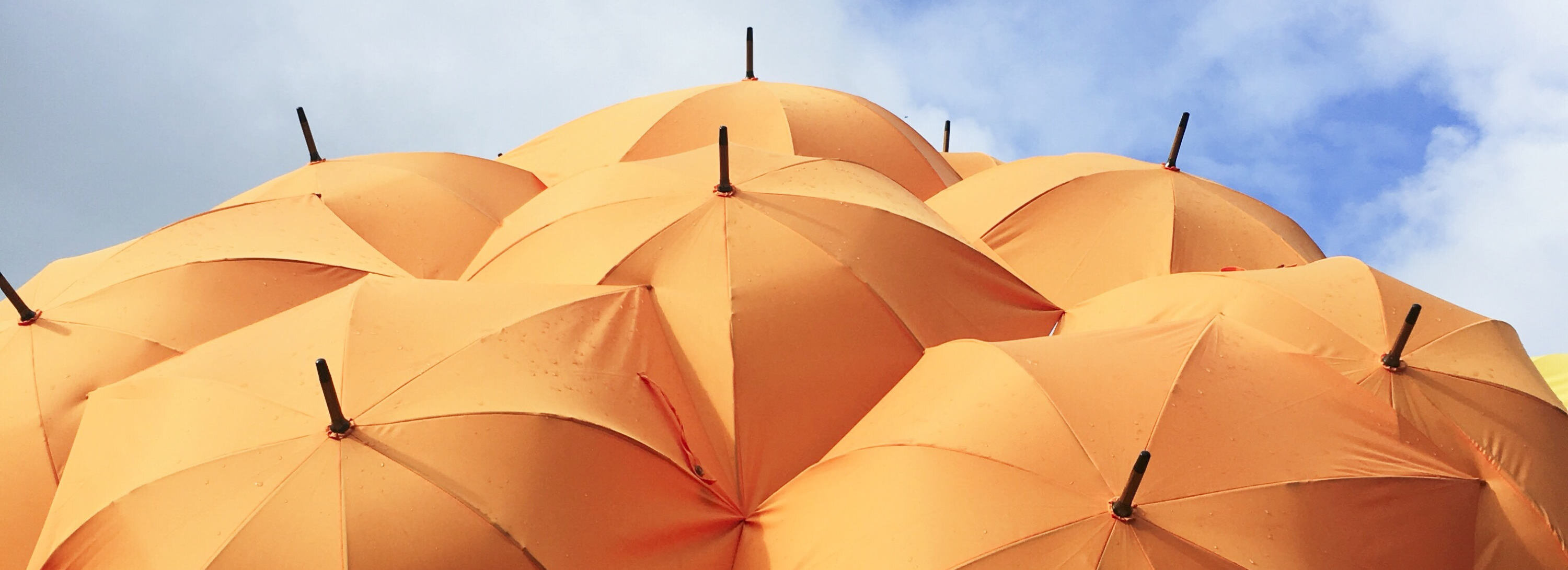 several umbrella tops with blue sky overhead